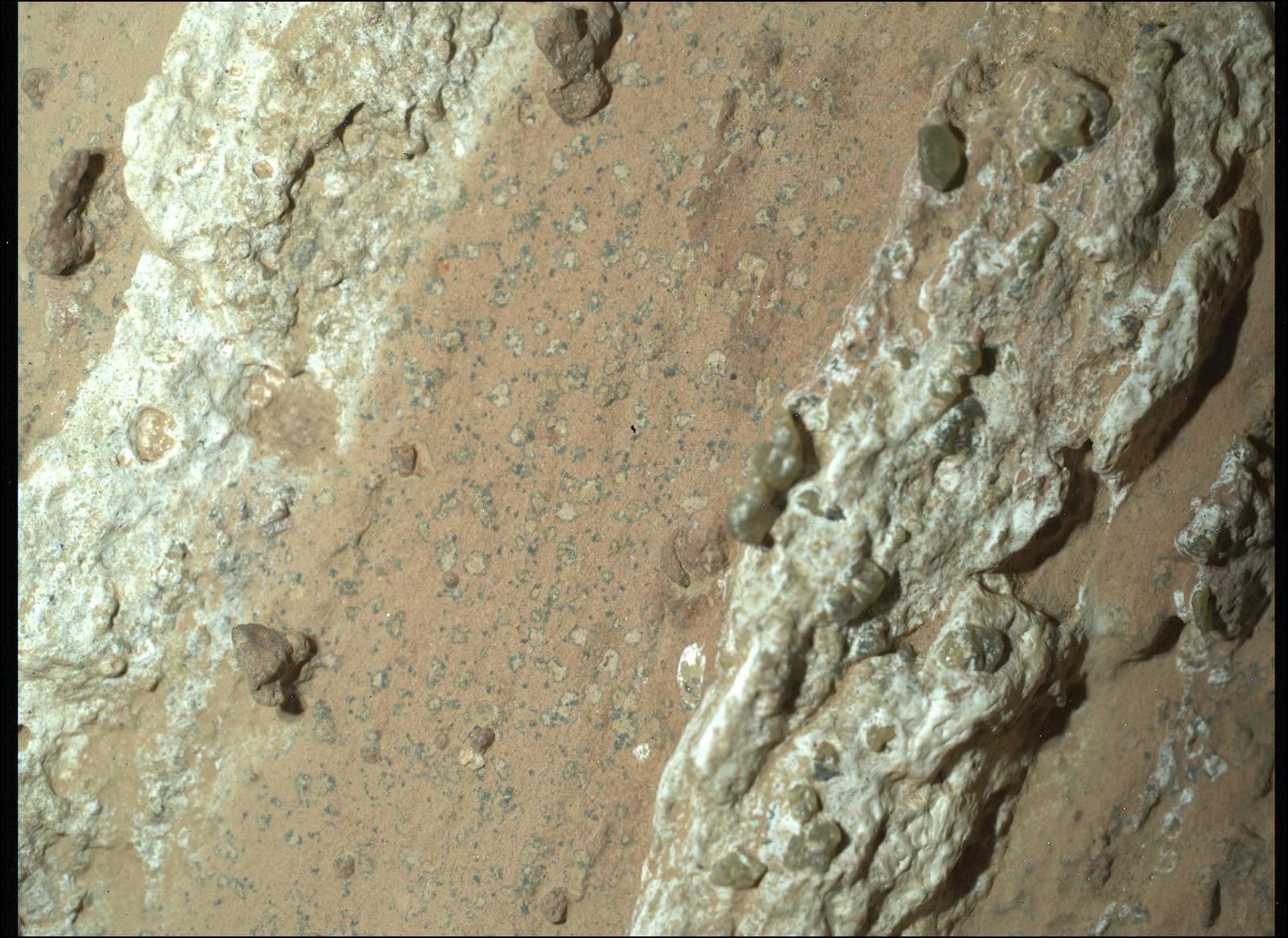 Close-up of a pale, coarse-grained rock face scattered with small dark-rimmed pale spots.