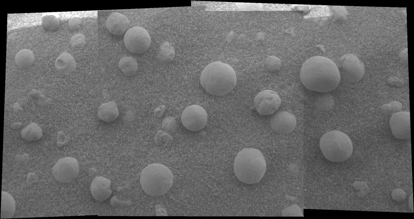 A microscopic image of small grey spheres scattered across fine-grained Martian soil.